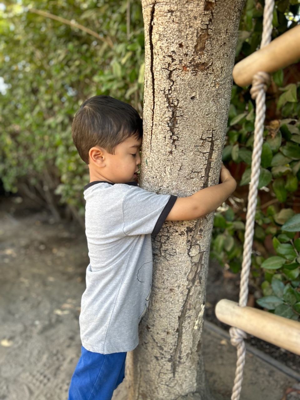 How We Teach Love for Nature in Our Montessori Toddler Program, Preschool and TK…