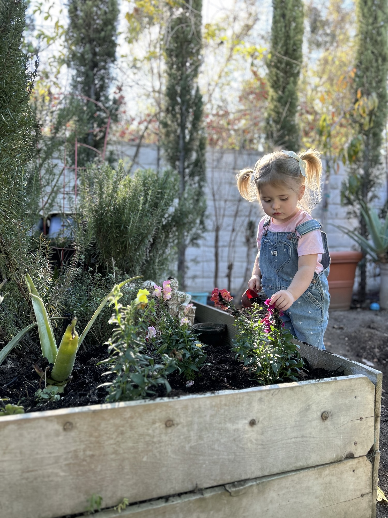 The Magic of Outdoor Play: Why Children Need the Great Outdoors